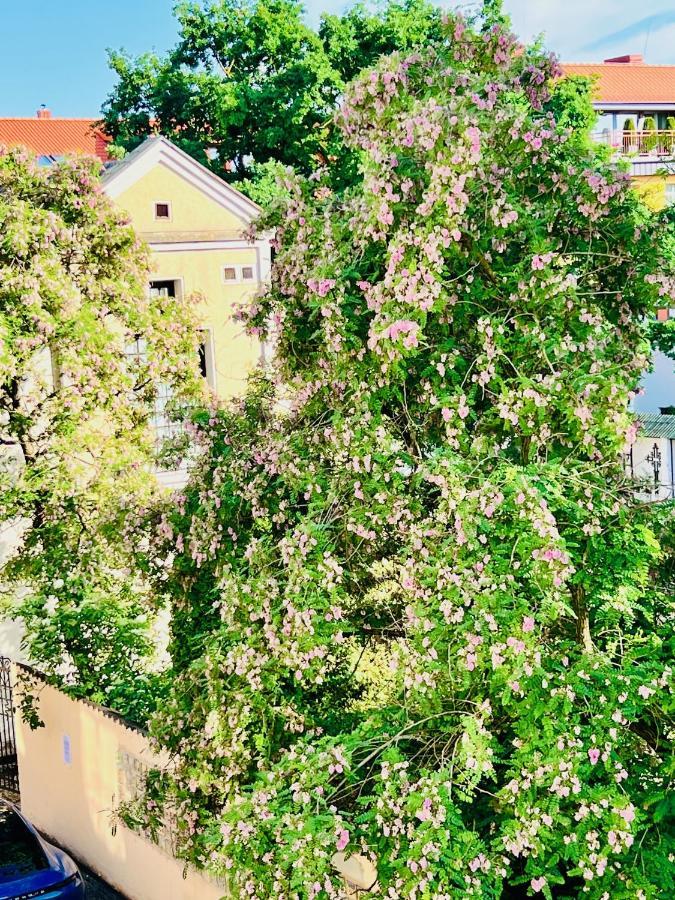 Super Apartment Old Town Klaipeda Exterior photo
